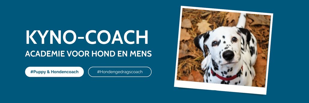 Kyno-Coach